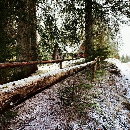 Chalet Stara Jelka Pokljuka زغورنجي المظهر الخارجي الصورة