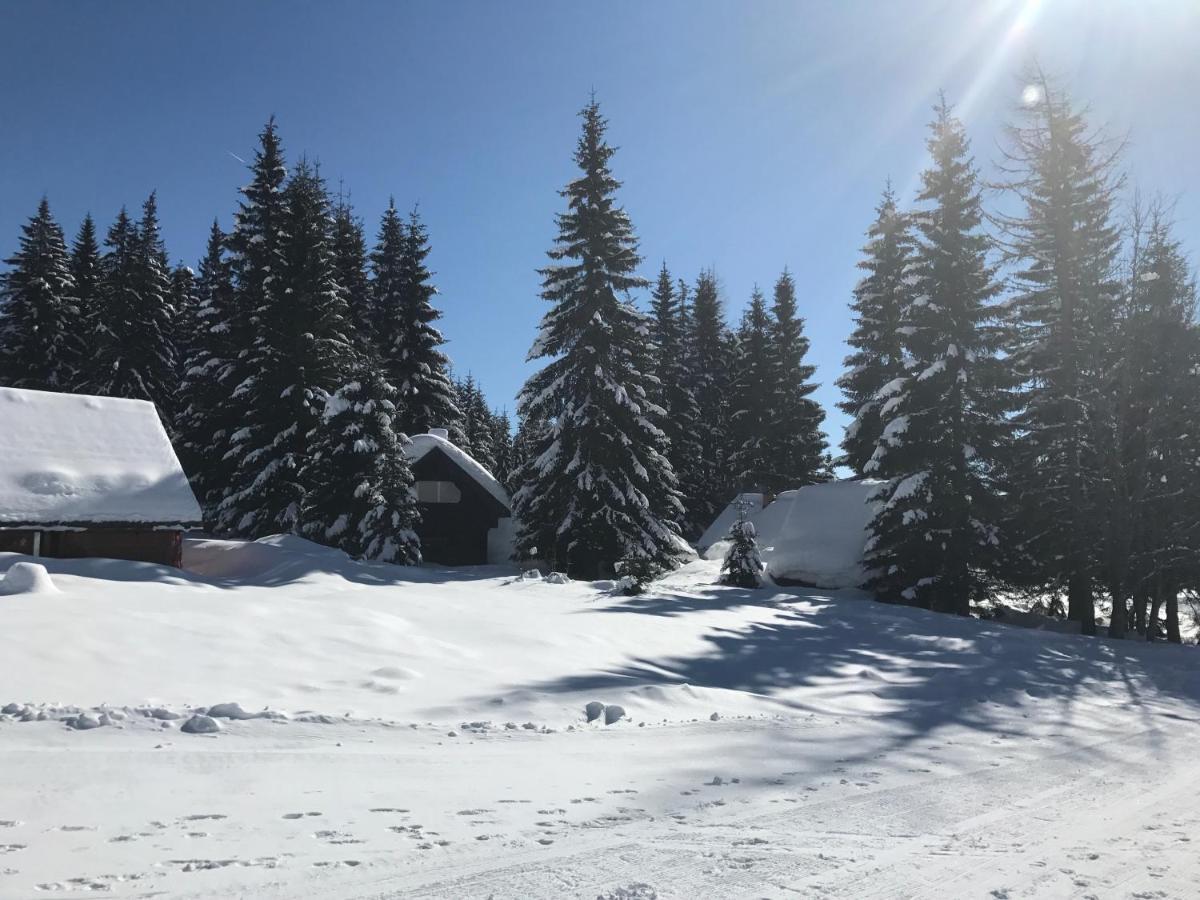 Chalet Stara Jelka Pokljuka زغورنجي المظهر الخارجي الصورة