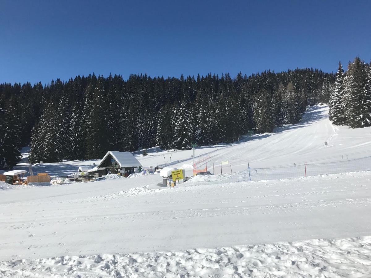 Chalet Stara Jelka Pokljuka زغورنجي المظهر الخارجي الصورة