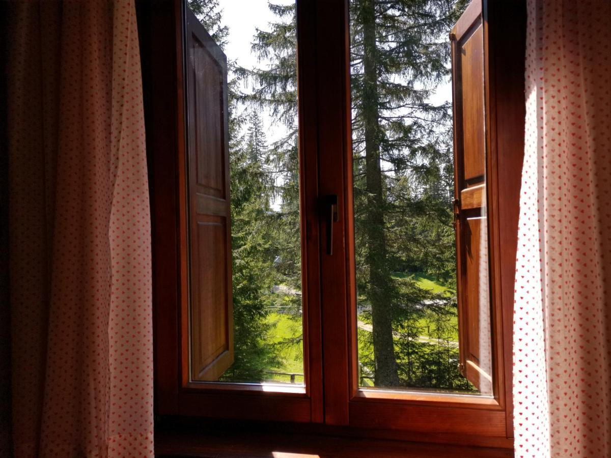 Chalet Stara Jelka Pokljuka زغورنجي المظهر الخارجي الصورة