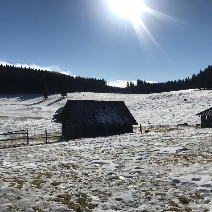Chalet Stara Jelka Pokljuka زغورنجي المظهر الخارجي الصورة