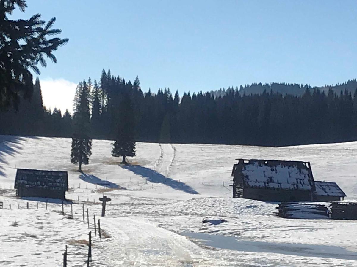Chalet Stara Jelka Pokljuka زغورنجي المظهر الخارجي الصورة