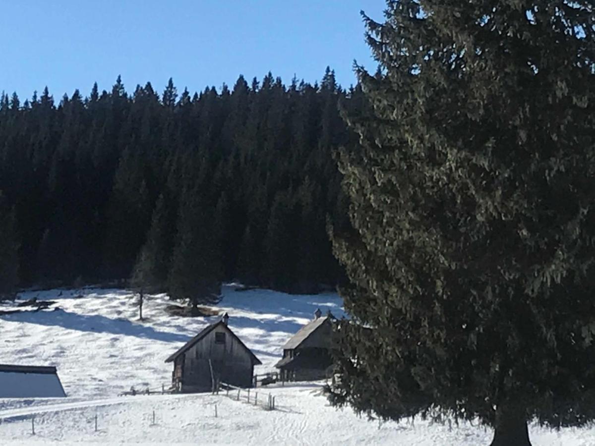 Chalet Stara Jelka Pokljuka زغورنجي المظهر الخارجي الصورة