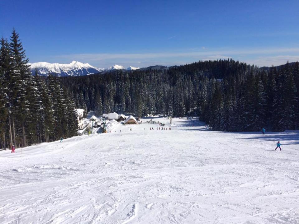 Chalet Stara Jelka Pokljuka زغورنجي المظهر الخارجي الصورة