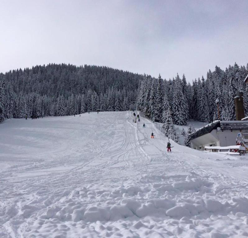 Chalet Stara Jelka Pokljuka زغورنجي المظهر الخارجي الصورة