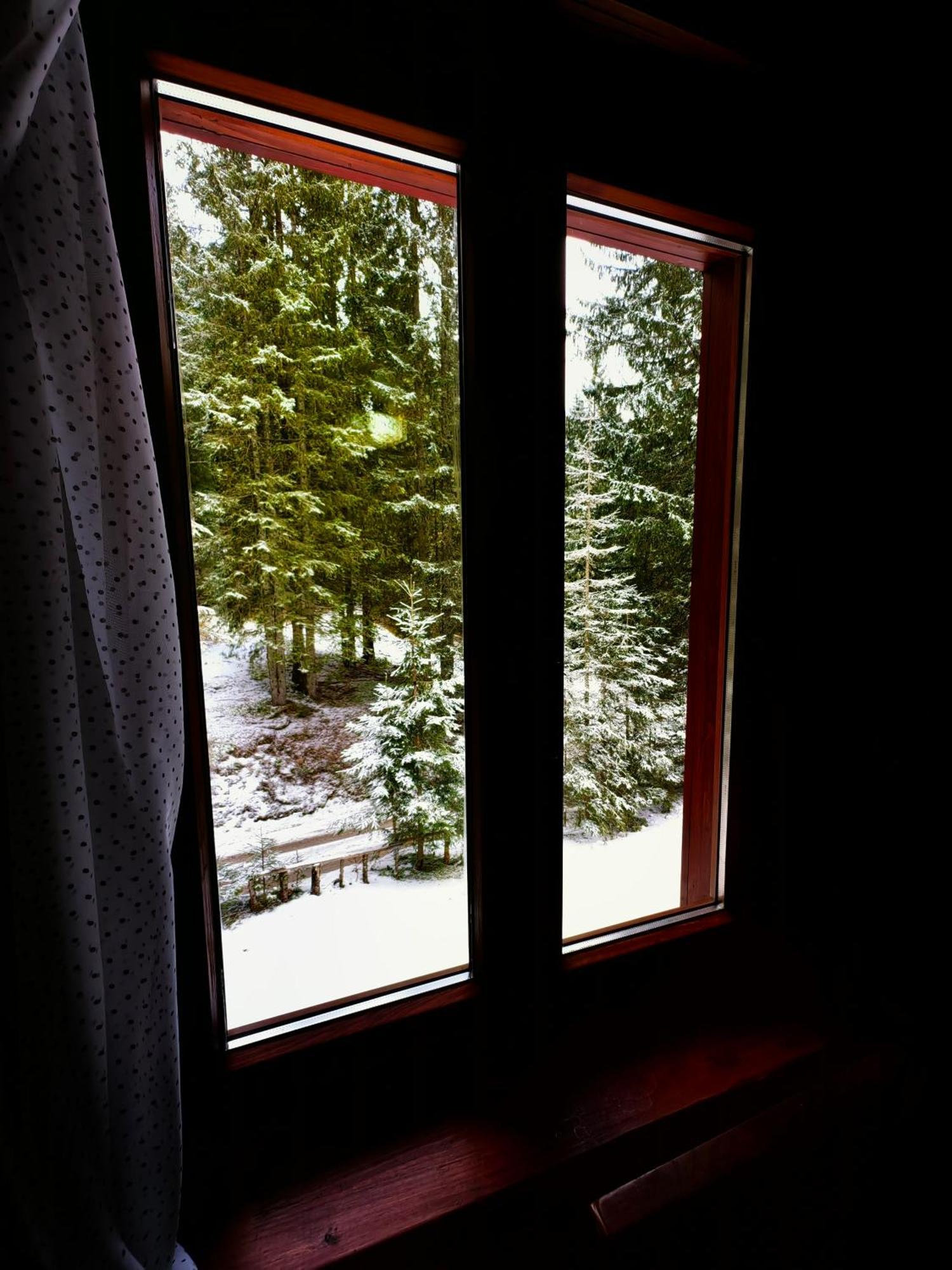 Chalet Stara Jelka Pokljuka زغورنجي المظهر الخارجي الصورة