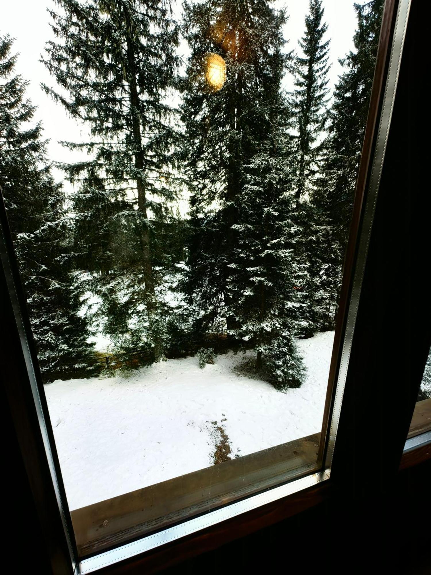 Chalet Stara Jelka Pokljuka زغورنجي المظهر الخارجي الصورة